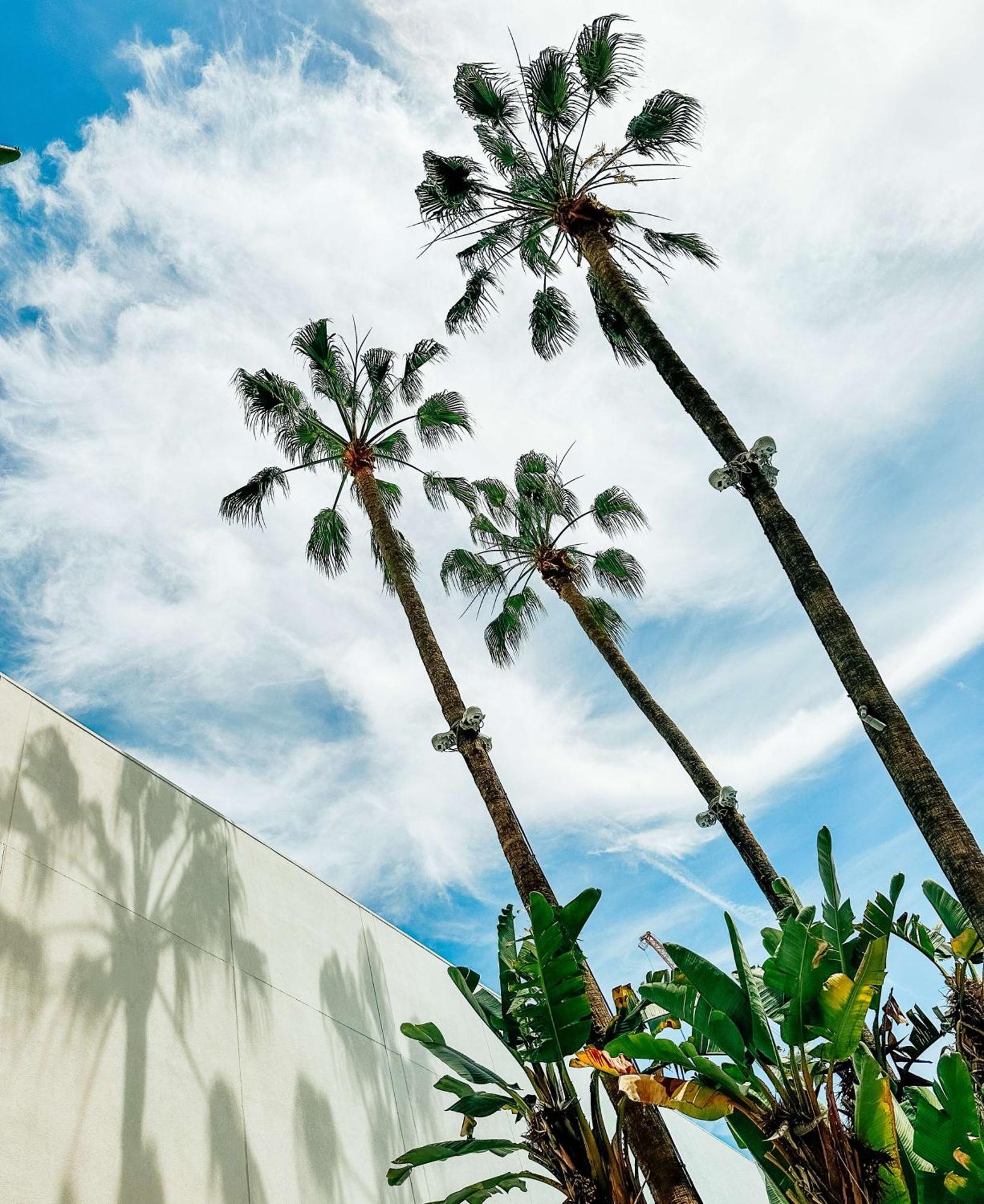 The Beverly Hilton Los Angeles Buitenkant foto